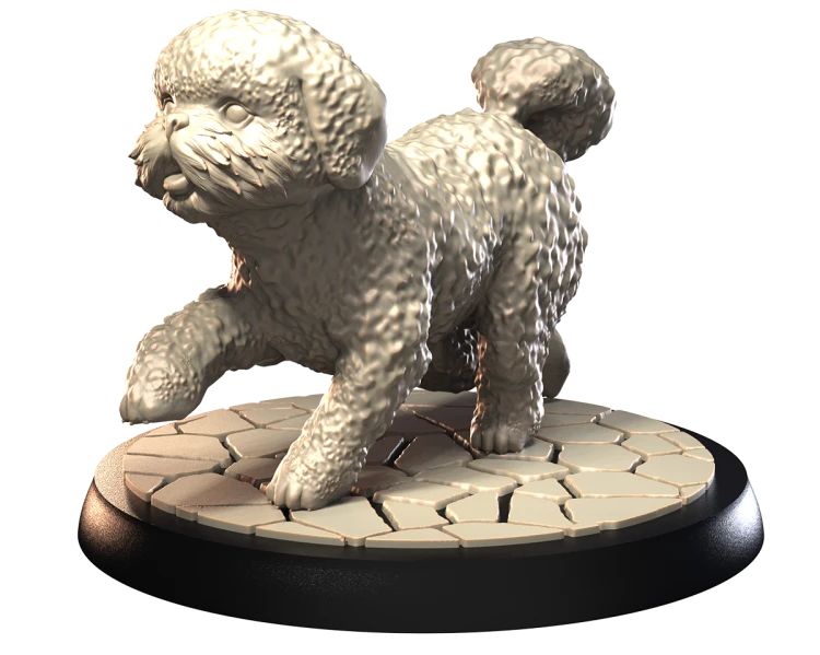 MALTESE BICHON.png