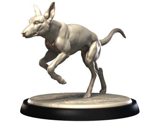 PHARAOH HOUND.png