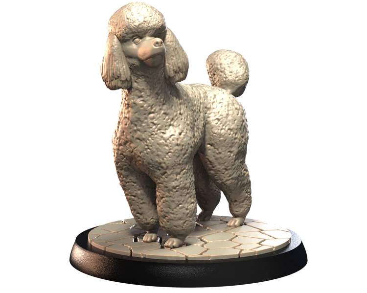 POODLE.png