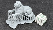 35130192_Saint Bernard.jpg