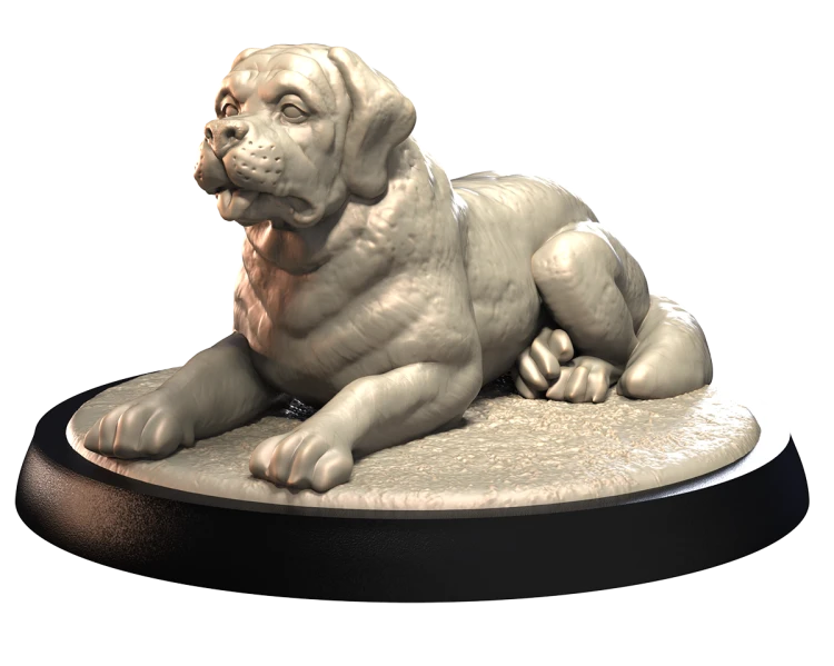 SAINT BERNARD.png