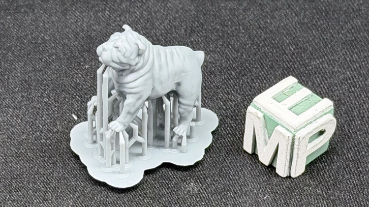 35130193_Shar pei.jpg