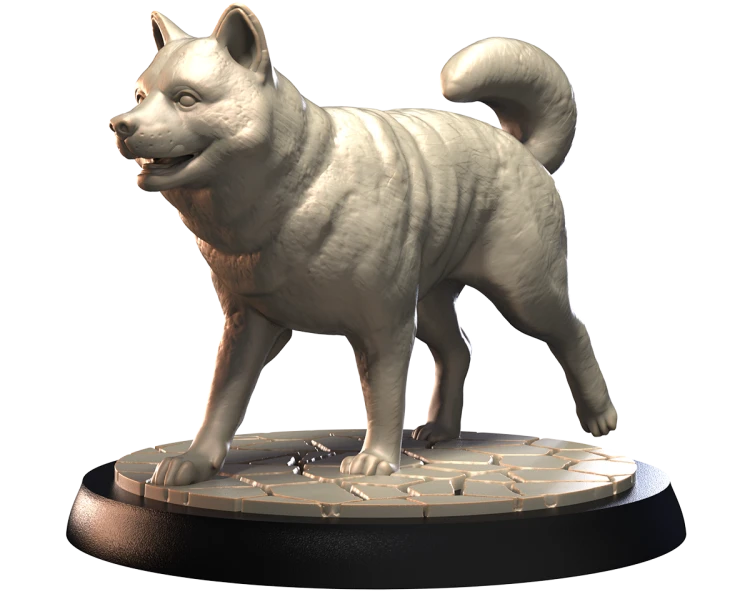 SHIBA.png