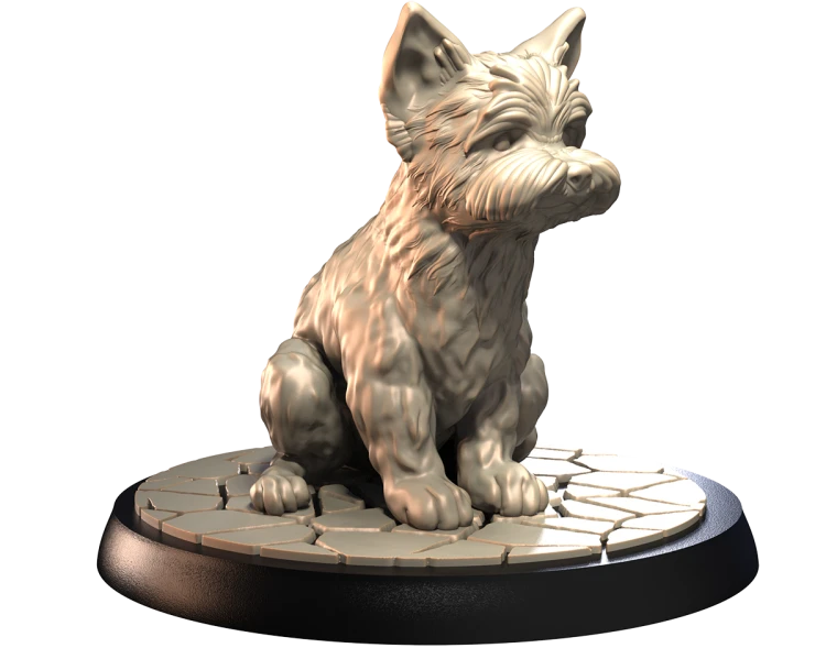 YORKSHIRE TERRIER.png