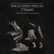 NK_Nastasya The Shield Maiden_Sizes 75mm.jpg
