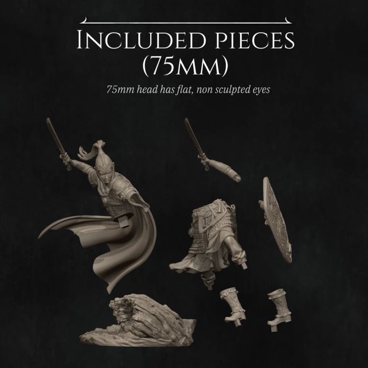 NK_Nastasya The Shield Maiden_Sizes 75mm.jpg