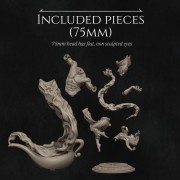 NK_Wish_Sizes 75mm.jpg