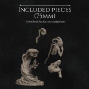 NK_Eshvara the Cursed Faun_Sizes 75mm.jpg