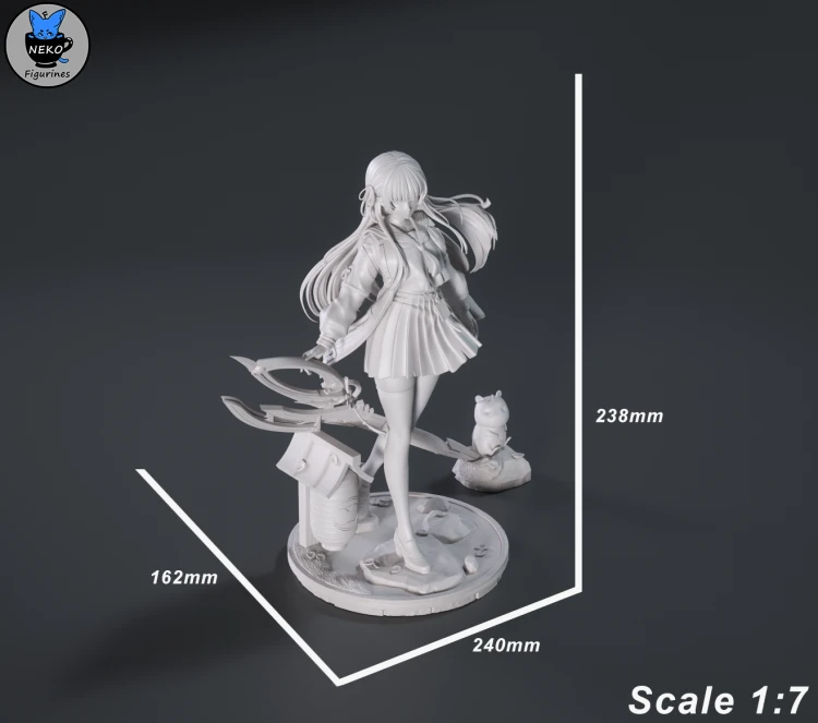 Chisa_Measurements.png