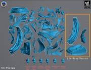 Columbina_Pieces.jpg