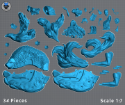 Ahri_pieces.png