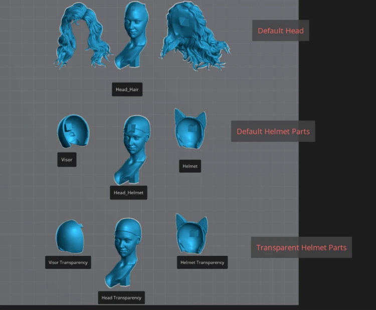 Head Parts Diagram.png