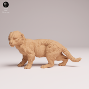 amur-leopard-cub-2.png