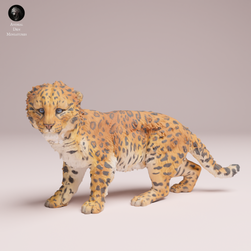 amur-leopard-cub-4.png