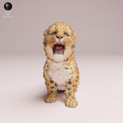 roaring-amur-leopard-cub-4.png
