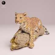 amur-leopard-on-tree-4.png