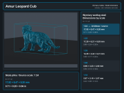 amur-leopard-cub-5.png