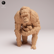 grauers-gorilla-female-with-baby-3.png