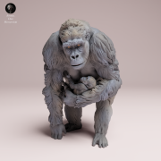 grauers-gorilla-female-with-baby-4.png
