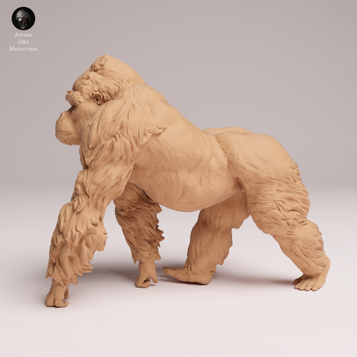 grauers-gorilla-silverback-1.png