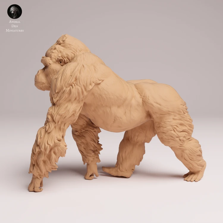 grauers-gorilla-silverback-1.png