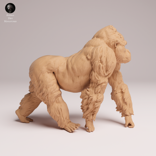 grauers-gorilla-silverback-2.png