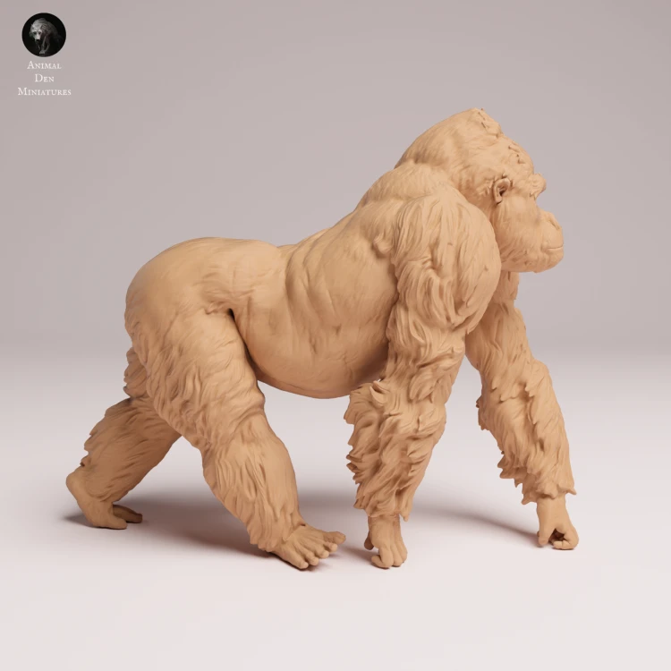 grauers-gorilla-silverback-2.png