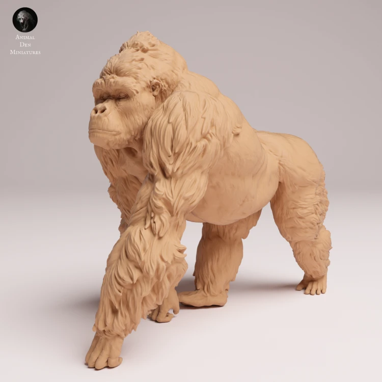 grauers-gorilla-silverback-3.png