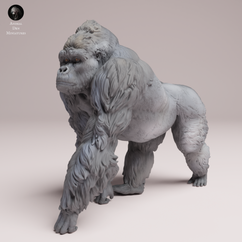 grauers-gorilla-silverback-4.png