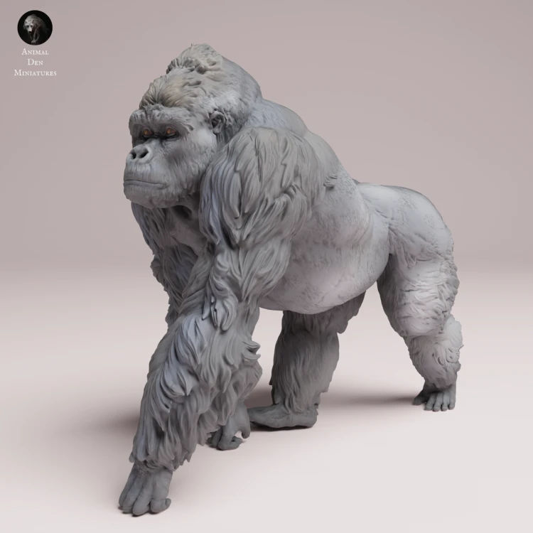 grauers-gorilla-silverback-4.png