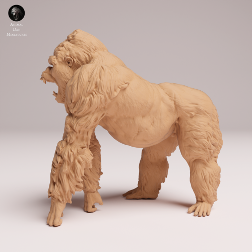 aggressive-grauers-gorilla-silverback-2.png