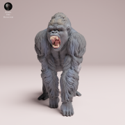 aggressive-grauers-gorilla-silverback-4.png