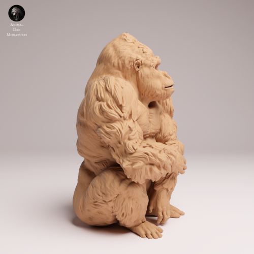 sitting-grauers-gorilla-silverback-1.png