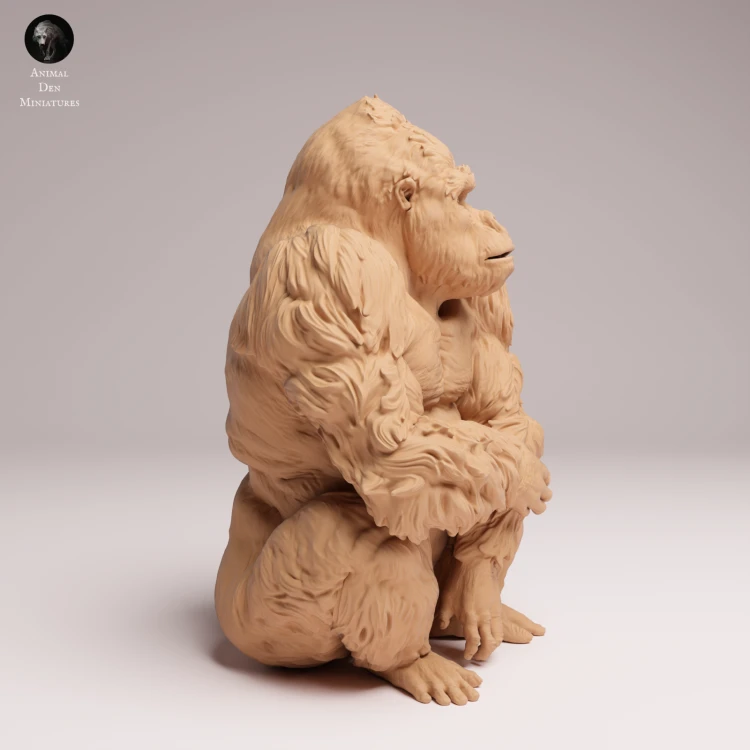 sitting-grauers-gorilla-silverback-1.png