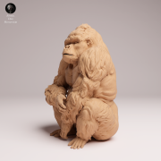 sitting-grauers-gorilla-silverback-2.png