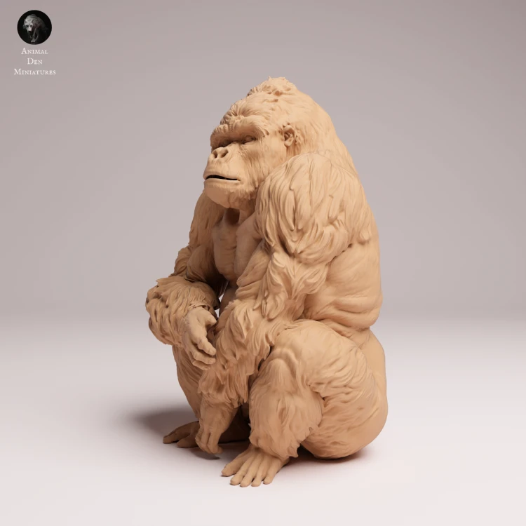 sitting-grauers-gorilla-silverback-2.png