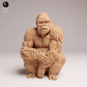 sitting-grauers-gorilla-silverback-3.png