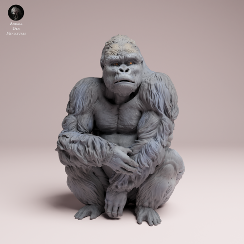 sitting-grauers-gorilla-silverback-4.png