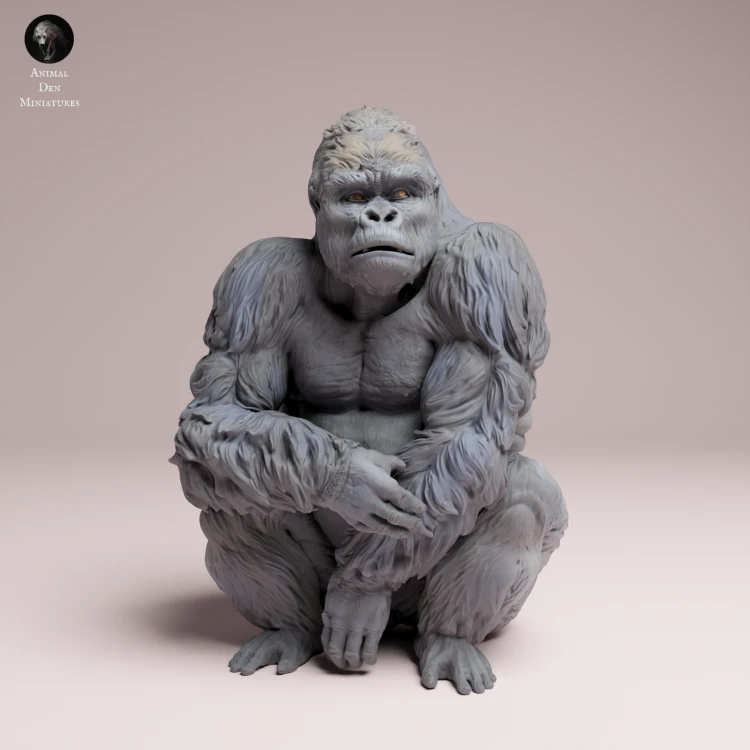 sitting-grauers-gorilla-silverback-4.png