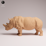northern-white-rhino-1.png
