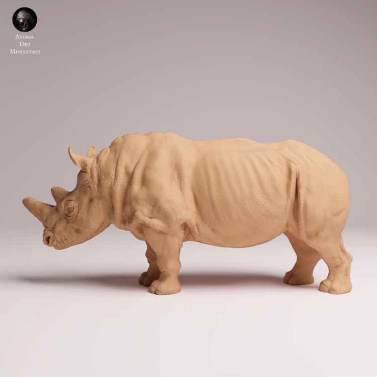 northern-white-rhino-1.png