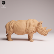 northern-white-rhino-2.png