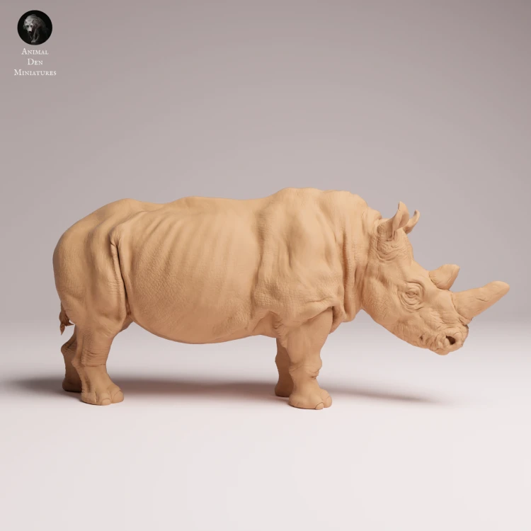 northern-white-rhino-2.png