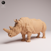 northern-white-rhino-3.png