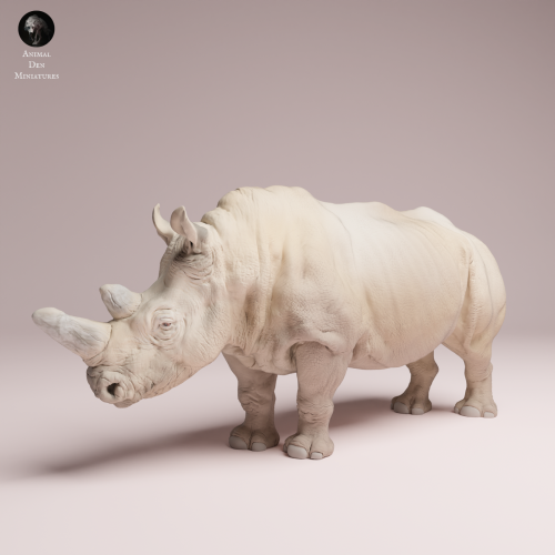 northern-white-rhino-4.png