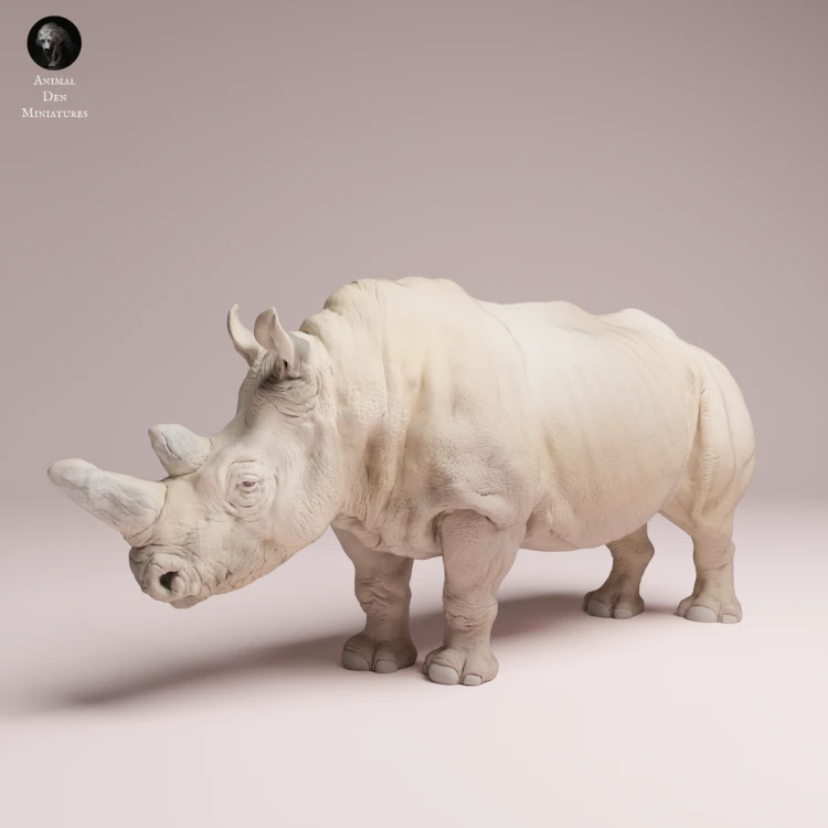 northern-white-rhino-4.png