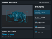 northern-white-rhino-5.png