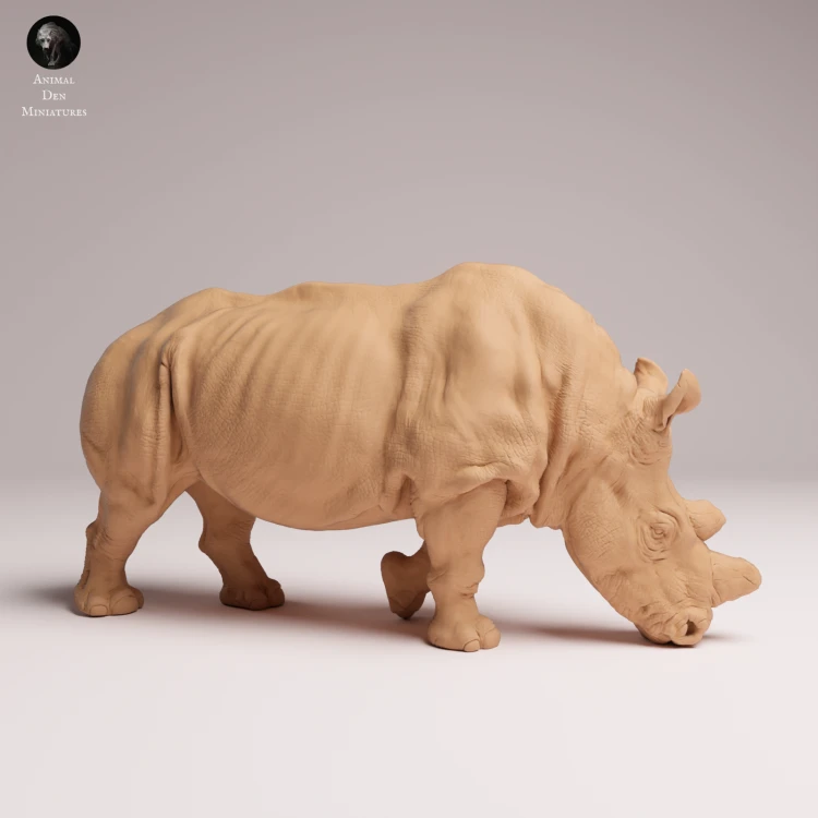 feeding-northern-white-rhino-1.png