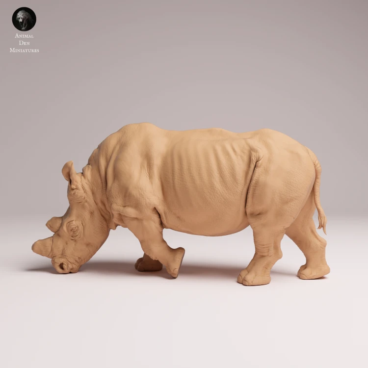 feeding-northern-white-rhino-2.png