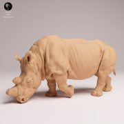 feeding-northern-white-rhino-3.png